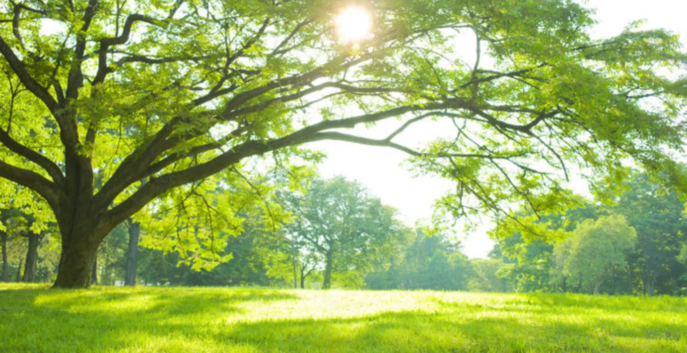 角膜を削らないクリアな視界