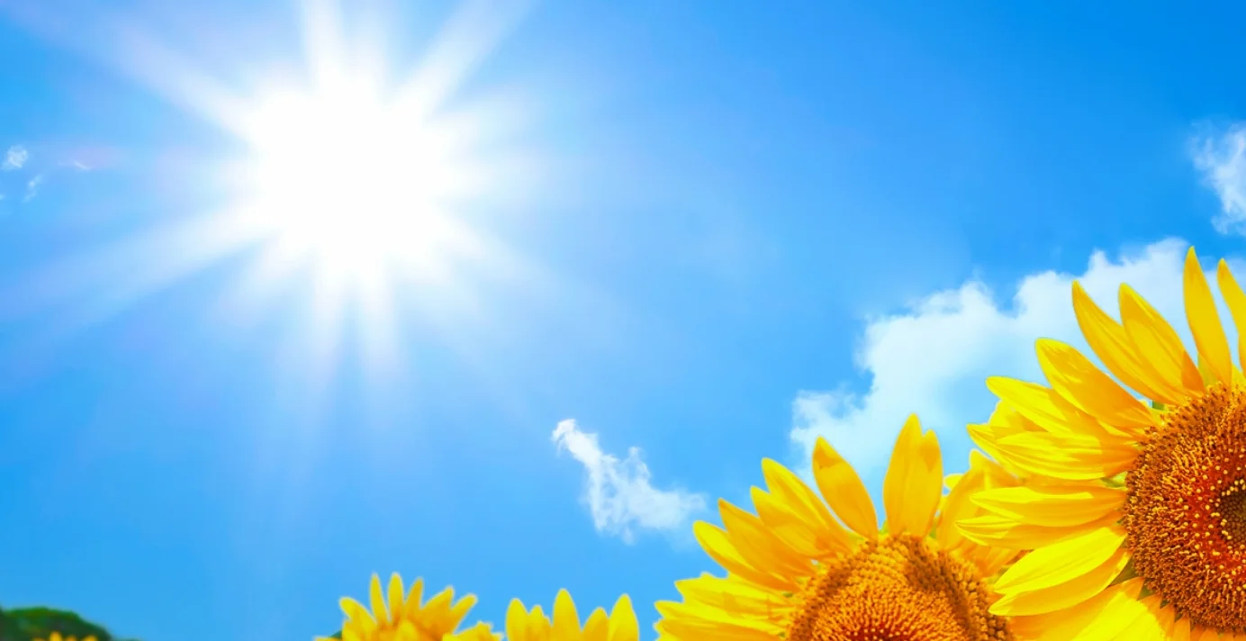 有害な紫外線をカットするICLレンズ